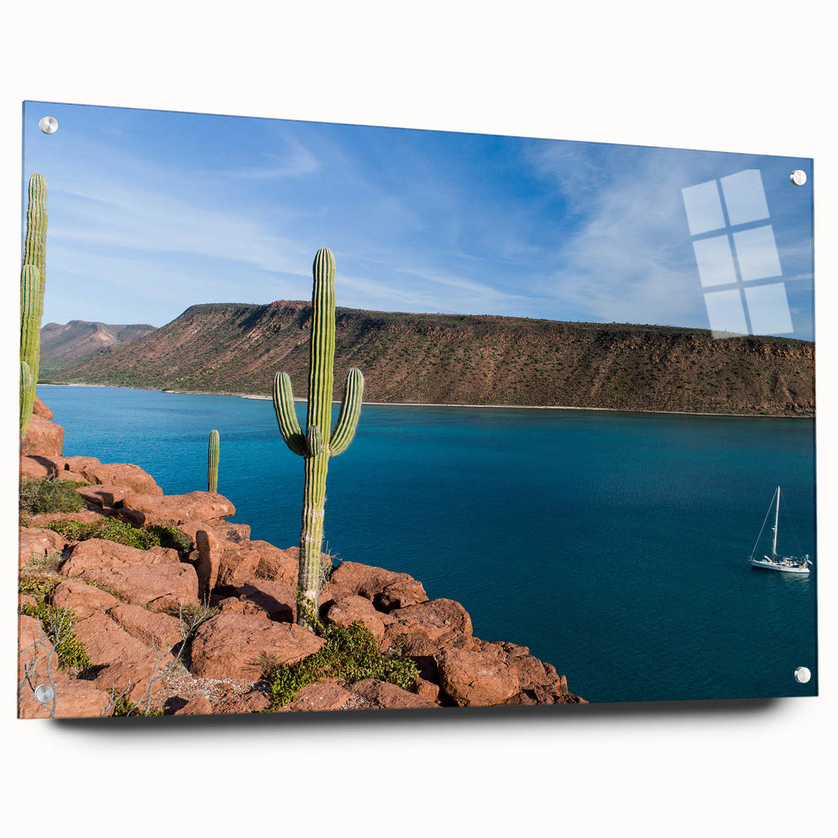 Large abstract wall art depicting the Baja California scenery in muted earth tones on acrylic glass.
