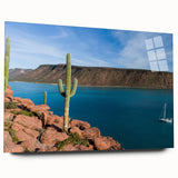 Large abstract depiction of Baja California scenery on acrylic glass, using earthy and blue tones.