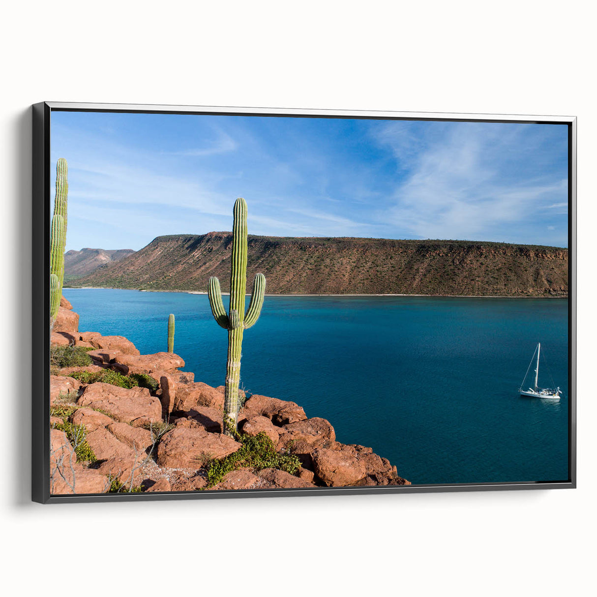 Black and white framed canvas depicting the Baja California landscape, ideal for bedroom wall decor.