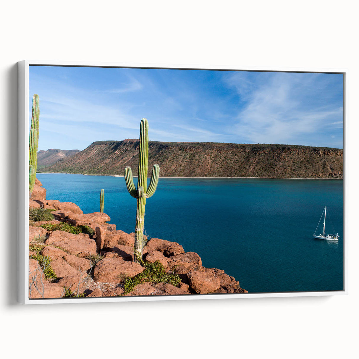 Vintage poster art of Baja California scenery on white-framed canvas, featuring colorful art with black accents.