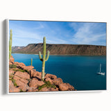 Vintage poster art of Baja California scenery on white-framed canvas, featuring colorful art with black accents.