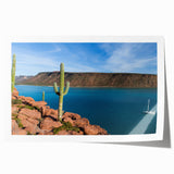 Scenic Baja California landscape on rolled canvas, featuring lush floral elements in vibrant green and blue tones.