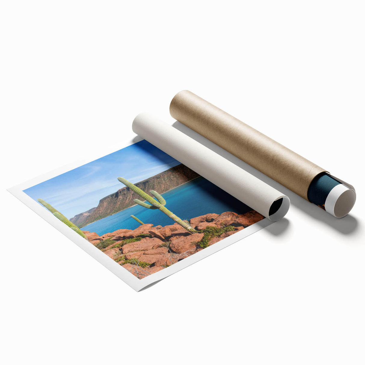 Extra large rolled print of Baja California scenery with vibrant floral elements, ideal for classy bathroom wall art.