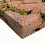 Black and white stretched canvas featuring a panoramic Baja California scenery, suitable as large kitchen wall art.