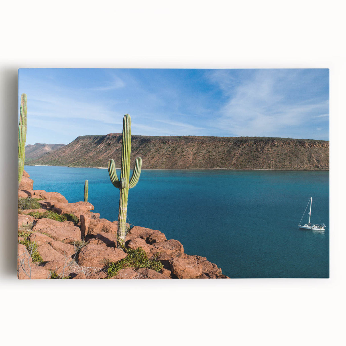 Black and white photograph of Baja California landscape on stretched canvas, suitable as large kitchen wall art.