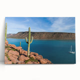 Large black and white landscape art painting of Baja California on stretched canvas, suitable for bedroom wall decor.