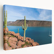 Large canvas print featuring the Baja California scenery in earthy tones, ideal for kitchen wall art.