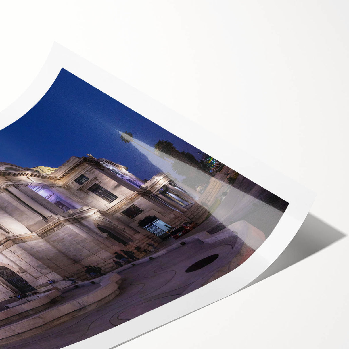Extra large rolled print of Mexico City with line art flowers in monochrome, ideal for large living room wall art.