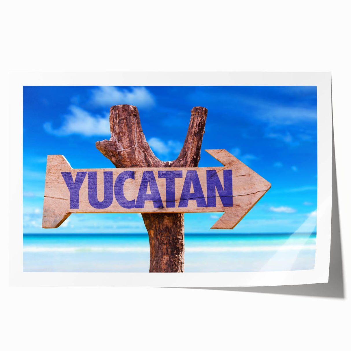 Extra large rolled print featuring a vibrant floral scene from Yucatan, ideal for art wall dining room decor.