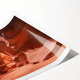 Extra large wall art featuring line art flowers in subtle earth tones on a rolled print.