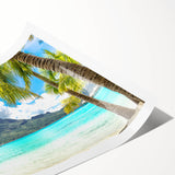 Extra large rolled print depicting line art flowers with muted earth tones, ideal for large living room wall art.