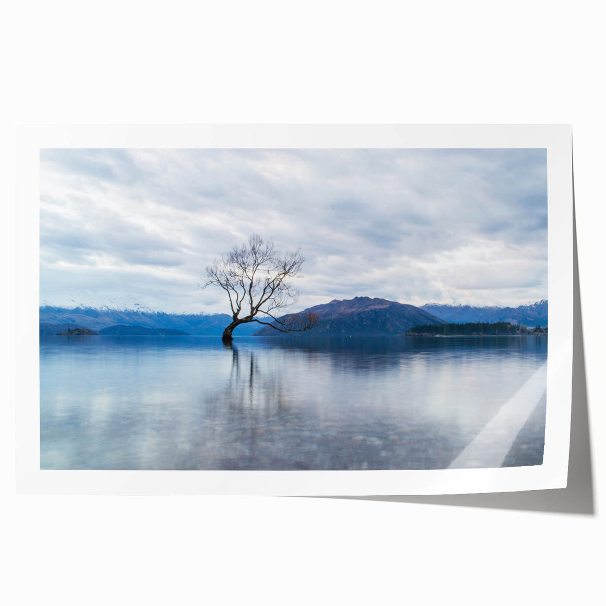 Rolled print of Otago, New Zealand scenery with vibrant green landscapes, ideal for art wall dining room.
