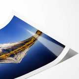 Extra large wall art featuring line art flowers in muted green tones on a rolled print, ideal for large living room decor.