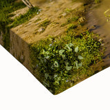 Black and white landscape art painting of an Argentinian scenery on large stretched canvas, suitable for bedroom decor.