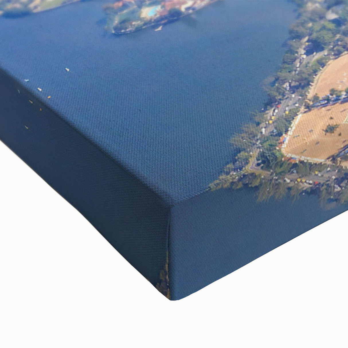 Large art featuring a black and white landscape painting of a Brazilian scenery on stretched canvas.