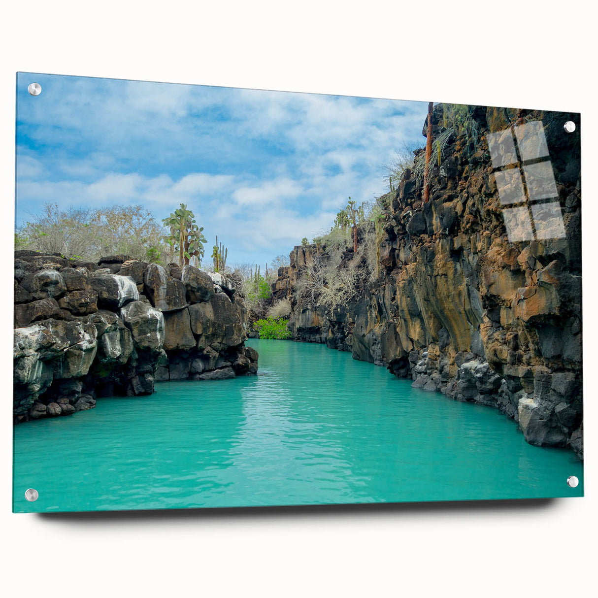 Acrylic print of a Galapagos scenery with vivid blue and green tones, suited for dining room art.