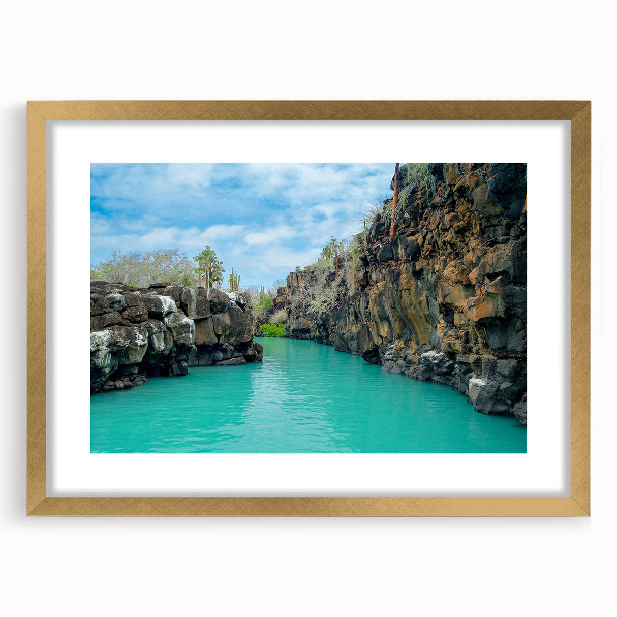 Extra large abstract art print depicting a textured Galapagos scenery in muted earth tones, framed in gold.