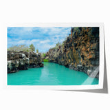Rolled print of Galapagos scenery with vibrant green and blue hues, ideal for art wall dining room.