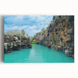 Black and white stretched canvas of Galapagos scenery, ideal for kitchen wall art.
