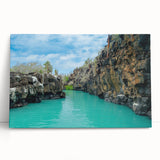 Black and white photo of Galapagos scenery on large stretched canvas, ideal for kitchen wall art or bedroom ambiance.