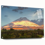 Acrylic print of a large abstract depiction of a South American scenery in muted earth tones.