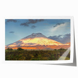 Extra large rolled print of Ecuador scenery with vibrant green and floral elements, suitable for art wall dining room.