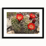 Extra large colorful art print of the Grand Canyon in vibrant hues on a textured canvas, ideal for living room decor.