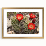 Extra large wall art featuring an abstract depiction of the Grand Canyon in textured gold and earth tones, framed with a mat.