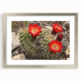 Textured art print of the Grand Canyon in abstract style, featuring earth tones on a framed silver mat.