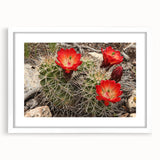 Abstract art print of the Grand Canyon in muted earth tones on a white-framed canvas, suitable for dining room decor.