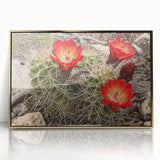 Large art print of the Grand Canyon in vibrant earth tones, framed acrylic, ideal for modern art wall decor.