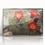 Mid-century modernist art of the Grand Canyon in muted earth tones on a silver-framed acrylic print.