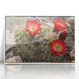 Acrylic framed print of the Grand Canyon in muted earth tones, suitable as modern art wall decor.