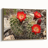 Framed canvas wall art depicting the Grand Canyon in muted earth tones, ideal for bedroom decor.