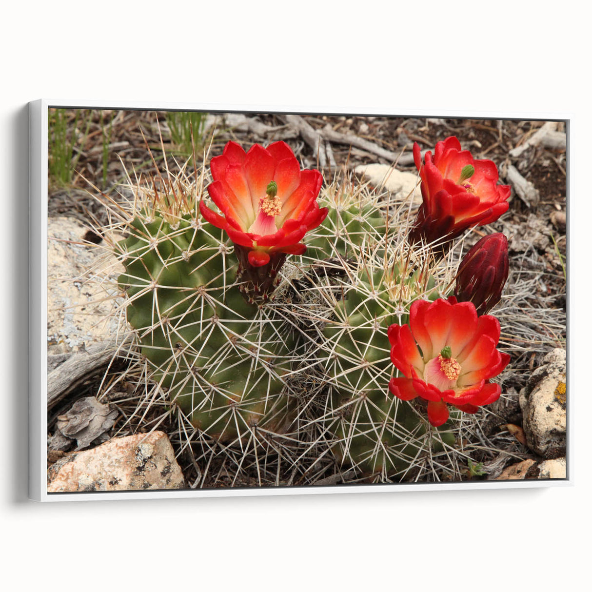 Vintage poster art of the Grand Canyon on a framed canvas, featuring a colorful palette, ideal for living room decor.