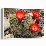 Vintage poster art of the Grand Canyon on a framed canvas, featuring a colorful palette, ideal for living room decor.