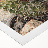 Art deco poster depicting the Grand Canyon in muted earth tones on a rolled canvas, suitable for dining room decor.