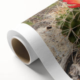 Art Deco style poster of the Grand Canyon in pastel shades on rolled canvas, ideal for nursery wall art.