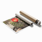 Grand Canyon landscape on a rolled canvas print, featuring earthy tones, ideal for classy bathroom wall art.