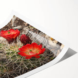 Extra large wall art of the Grand Canyon in Arizona, featuring natural earth tones on a rolled print.