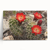 Black and white stretched canvas of the Grand Canyon, ideal for kitchen wall art or bedroom ambiance.