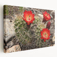 Grand Canyon landscape on large stretched canvas with vivid earth tones, suitable for kitchen wall art.