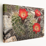 Grand Canyon landscape on large stretched canvas with vivid earth tones, suitable for kitchen wall art.