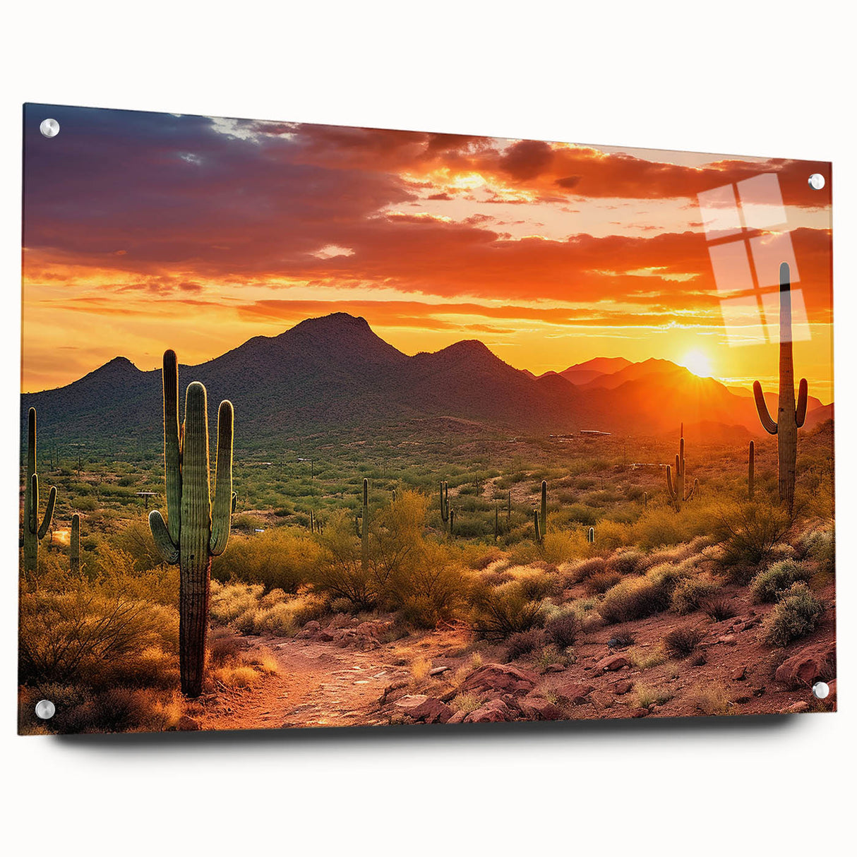 Acrylic print of Sonoran Desert with vibrant sunset colors, ideal for dining room decor.