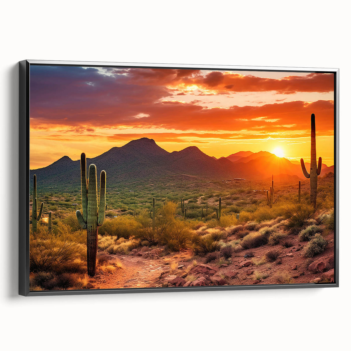 Black and white framed canvas depicting the Sonoran Desert landscape, ideal for bedroom wall art.