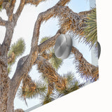 Large abstract wall art of Joshua Tree in muted earth tones on acrylic glass, suitable for dining room ambiance.