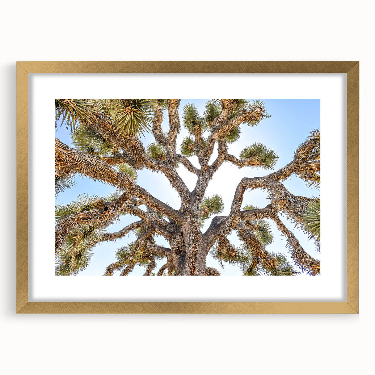 Extra large abstract art print featuring textured Joshua Tree scenery in muted earth tones on a gold-framed canvas.