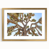 Extra large abstract art print featuring textured Joshua Tree scenery in muted earth tones on a gold-framed canvas.