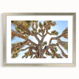 Textured art print of Joshua Tree, featuring abstract shapes in earth tones on a framed silver mat, suited for bedroom decor.