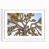 Abstract art print of Joshua Tree in muted earth tones on a framed white canvas, suitable for bedroom or dining room decor.